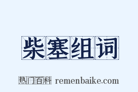 柴塞组词是什么意思的图片